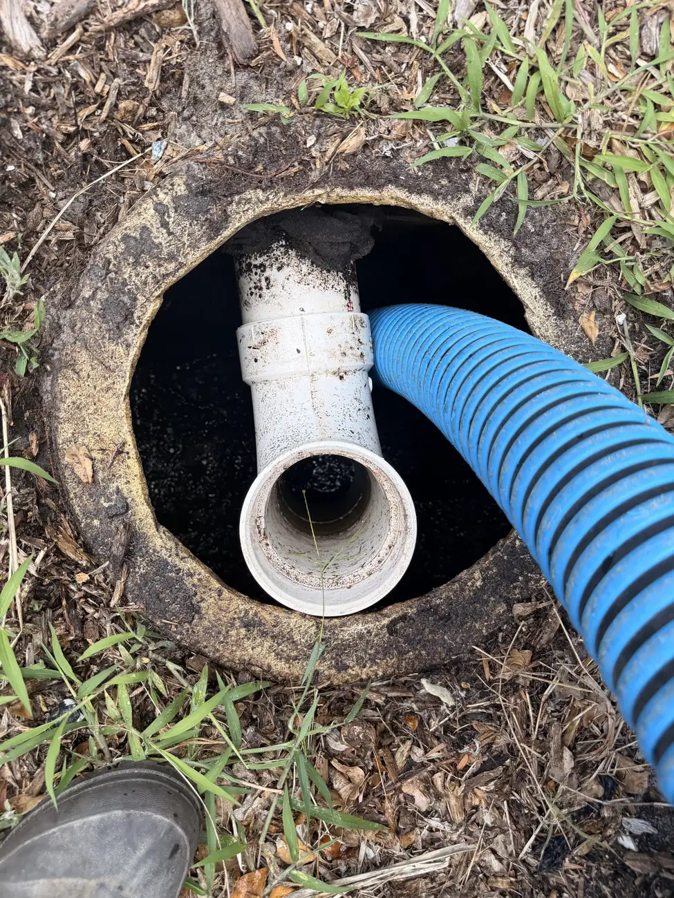 Vacuum hose in a septic tank during a pump-out